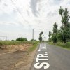 Teren Cernica,pentru Dezvoltare Rezidențială sau Industriala  thumb 15