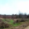 Teren de vânzare – 1000 mp în Mogoșoaia, zonă ideală pentru locuință					 thumb 13