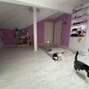 Apartament cu 4 camere si pod, zona Stadion Primaverii, bloc nou thumb 8