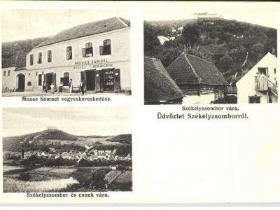 Casa Istorica - Vanzare, 9 Camere, Teren Generos, Restaurare in Sat Transilvania