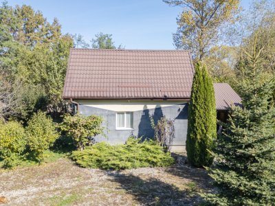 Proprietate rara in Covasna – liniste, spatiu si potential de investitie