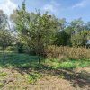 Proprietate rara in Covasna – liniste, spatiu si potential de investitie thumb 34