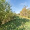 Proprietate rara in Covasna – liniste, spatiu si potential de investitie thumb 46