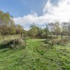 Proprietate rara in Covasna – liniste, spatiu si potential de investitie thumb 47