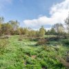 Proprietate rara in Covasna – liniste, spatiu si potential de investitie thumb 50