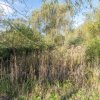 Proprietate rara in Covasna – liniste, spatiu si potential de investitie thumb 6