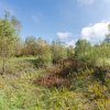Proprietate rara in Covasna – liniste, spatiu si potential de investitie thumb 38