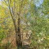 Proprietate rara in Covasna – liniste, spatiu si potential de investitie thumb 43