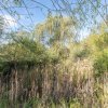 Proprietate rara in Covasna – liniste, spatiu si potential de investitie thumb 44