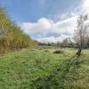 Proprietate rara in Covasna – liniste, spatiu si potential de investitie thumb 45