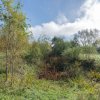 Proprietate rara in Covasna – liniste, spatiu si potential de investitie thumb 48