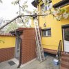 Casa cu personalitate Strada Spania  thumb 7