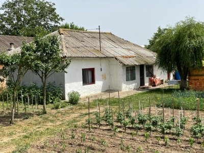 Casă e vanzare, situată in MIHAIL KOGALNICEANU