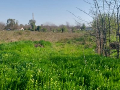 Teren 2000 mp in zona VIILE NOI