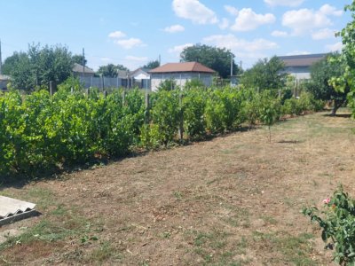 Casă situată în zona Cobadin