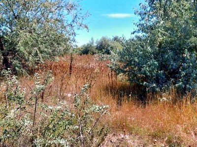 Teren de vanzare situat in Lumina, Constanta