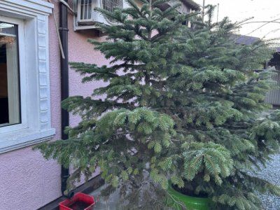 Casă 3 camere de vânzare zona Palas – 92 mp utili, teren 200 mp