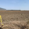 De vanzare Teren industrial zona Eli Park 4Buftea  thumb 4