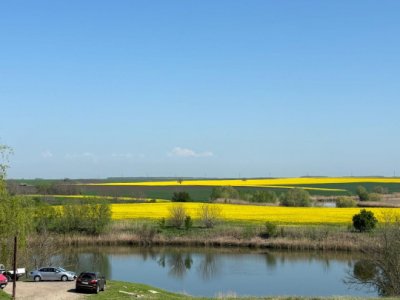 Teren 1926 mp Gostilele - Vedere Lac - 109m deschidere(2 strazi) - Fundulea  