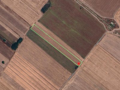 Teren Extravilan In Rate Primaverii Com. Berceni | 10.000mp | #EG51