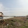 Teren Intravilan Ciresilor Com. Berceni | utilitati: la strada | #CG17 thumb 1