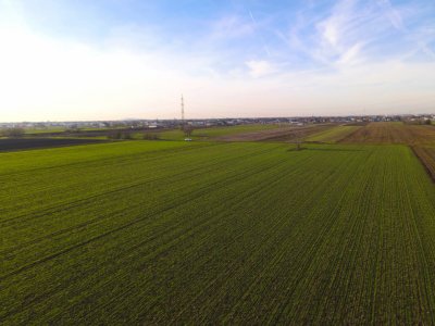 Teren Investitional 1,24 ha Com Berceni | deschidere 42ml | #CG28