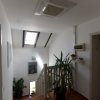 Vila ideală pentru familie, cu curte mare și grădină, în Tunari  thumb 12