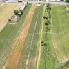 Teren cu potențial de dezvoltare –7427 mp în Argeșelu, Mărăcineni, județul Arges thumb 7